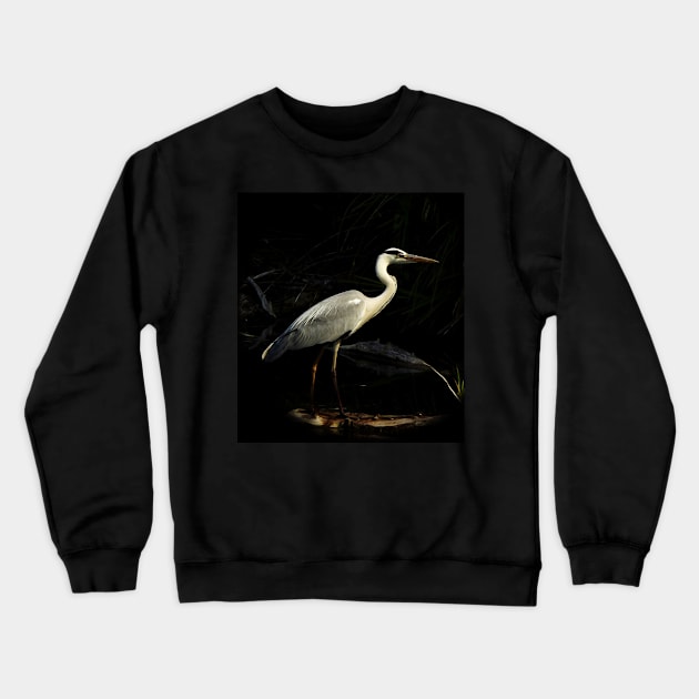 Grey heron Crewneck Sweatshirt by Guardi